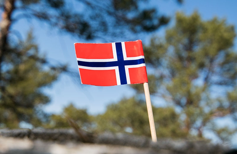 Norska flaggan på en träpinne