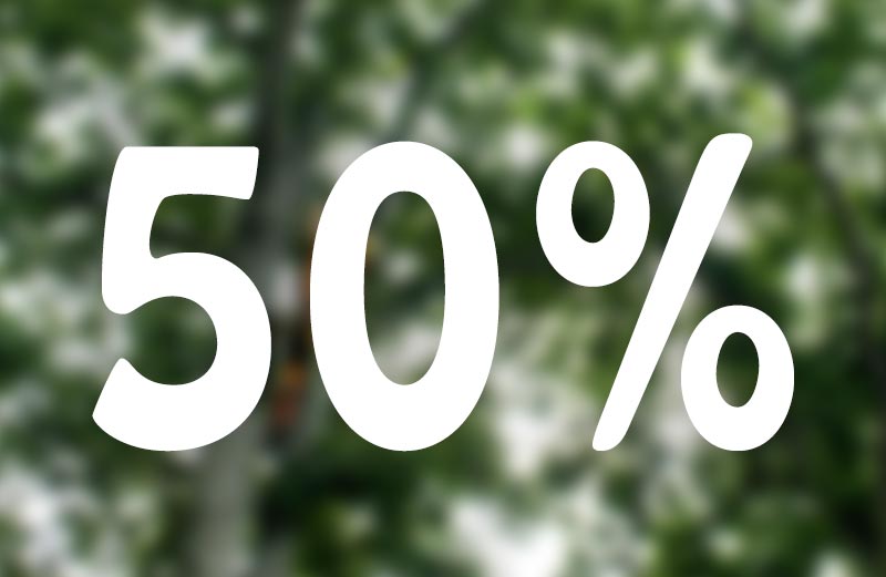 Trädfällning med RUT-avdraget