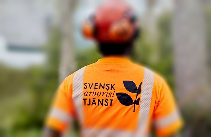 Arborist