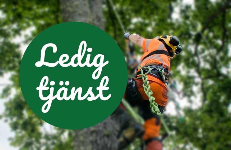 Ledig tjänst som arborist