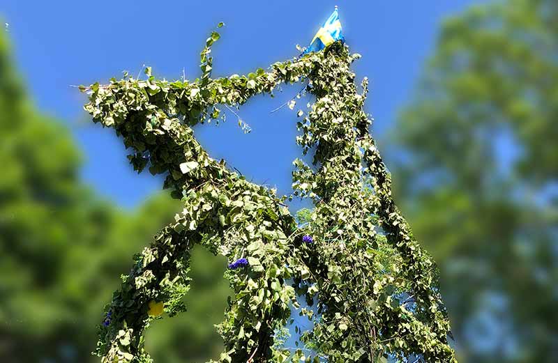 Midsommarstång