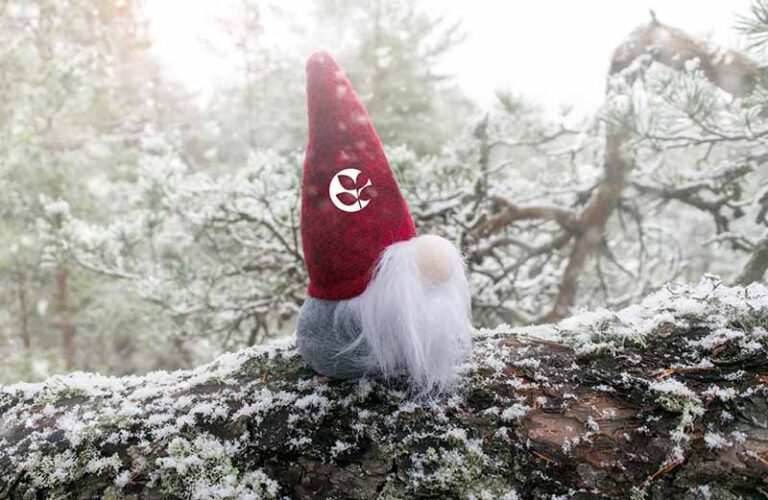 Jultomte i skogen
