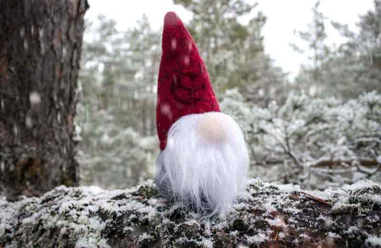 Jultomte ute i skogen